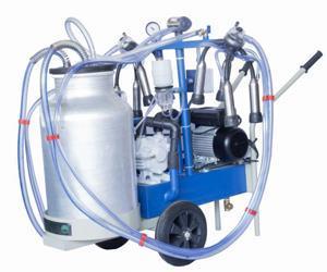 Cow  two unit machine